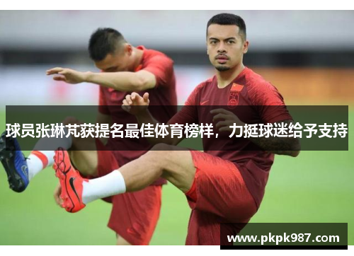 球员张琳芃获提名最佳体育榜样，力挺球迷给予支持